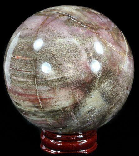 Colorful Petrified Wood Sphere #49776